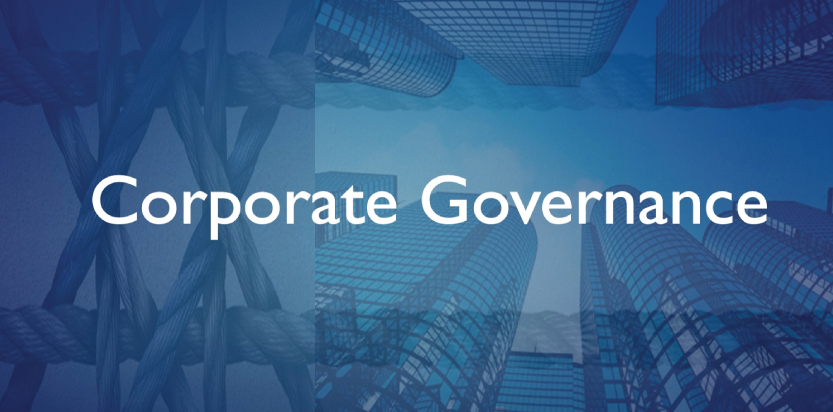 Corporate-Governance-DKS-Capital