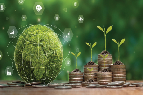 Climate-Finance-DKS-Capital