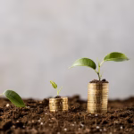 Business Plan writing service-DKS Capital