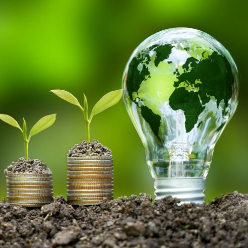 Carbon Finance-DKS Capital