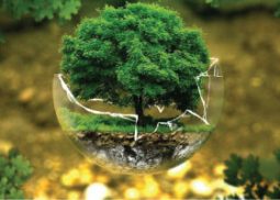 Initial Environmental Examination (IEE) Advisory – DKS Capital Advisory