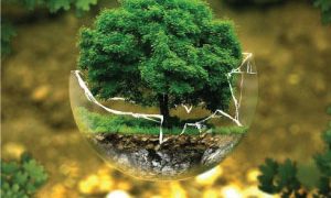 Initial Environmental Examination (IEE) Advisory – DKS Capital Advisory