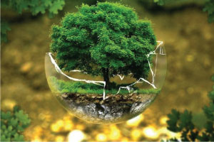 Initial Environmental Examination (IEE) Advisory – DKS Capital Advisory