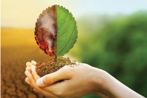 Carbon & Climat finance of DKS Capital Advisory