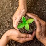 DKS Private-Equity-Venture-Capital