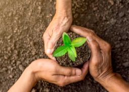 DKS Private-Equity-Venture-Capital