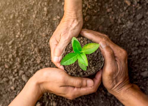 DKS Private-Equity-Venture-Capital