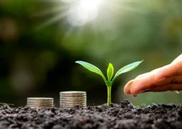 Venture Capital Advisory — DKS Capital Advisory